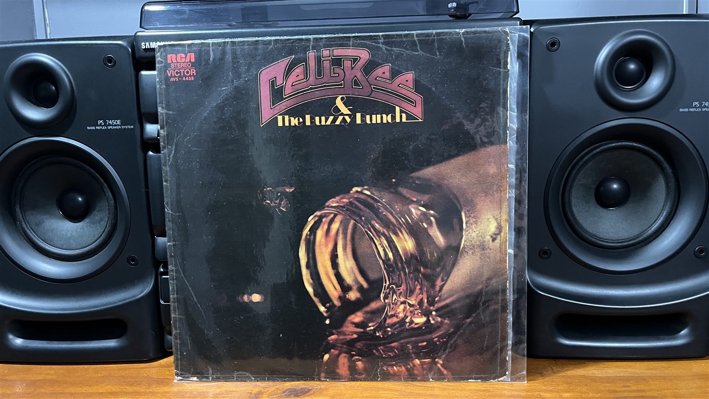 Artista por completar - Vinilo 12 pulgadas #16