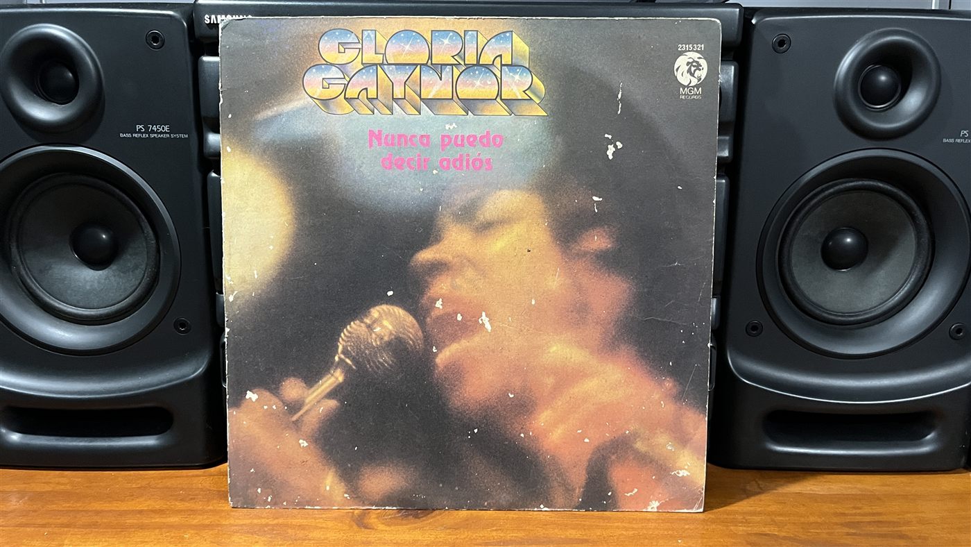 Artista por completar - Vinilo 12 pulgadas #41