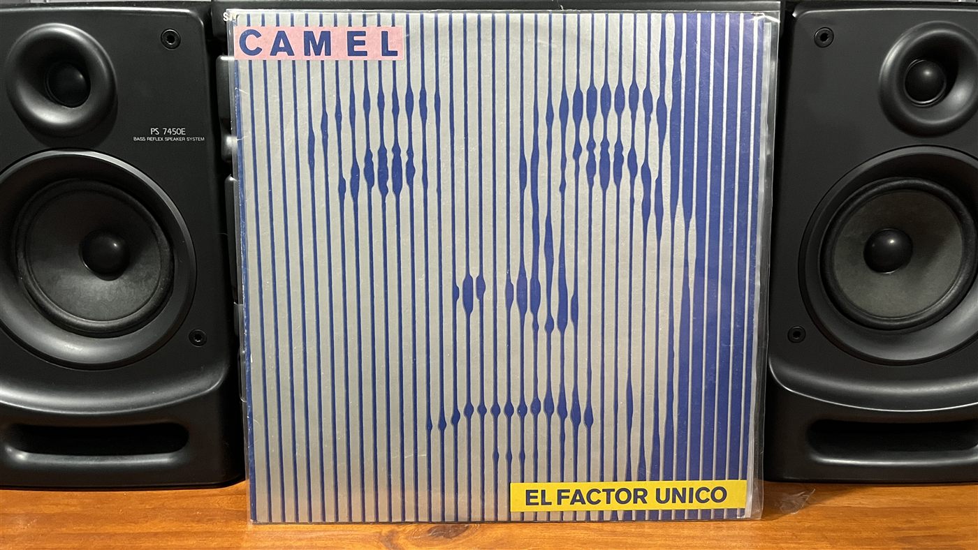 Artista por completar - Vinilo 12 pulgadas #45